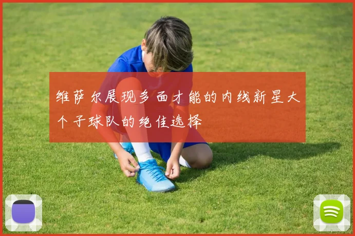 维萨尔展现多面才能的内线新星大个子球队的绝佳选择